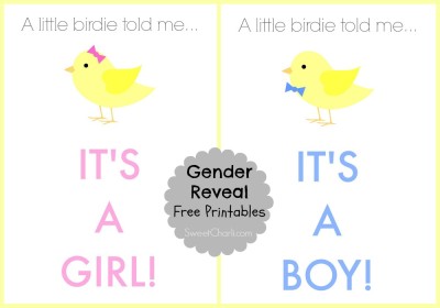 My Gender Reveal Plus Free Printables » Kami Watson