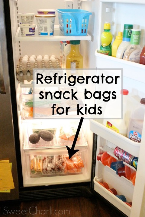 healthy refrigerator snack bags for kids